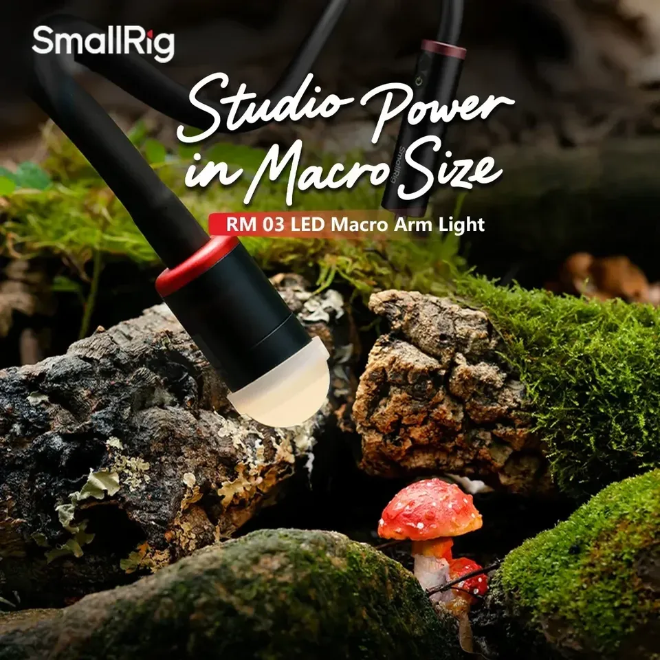 For Smallrig RM-03 3W LED Macr - Photography Lighting For Jewelry 评论和价格