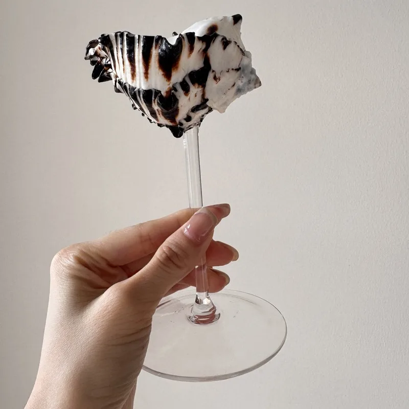 Light Luxury Conch Shell Champ - Lighting Glass Photography 评论和价格